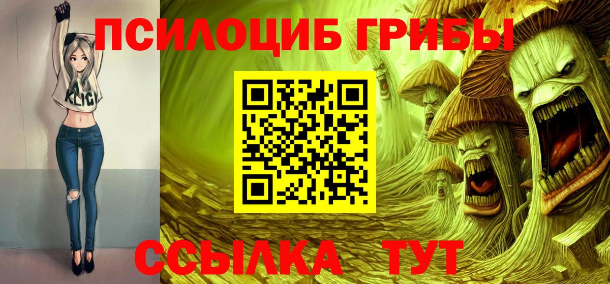 Галлюциногенные грибы Cubensis Новодвинск