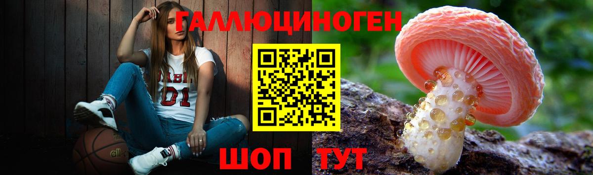 Новодвинск  Псилоцибиновые грибы Magic Shrooms  Псилоцибиновые грибы мицелий  Вход с VPN 