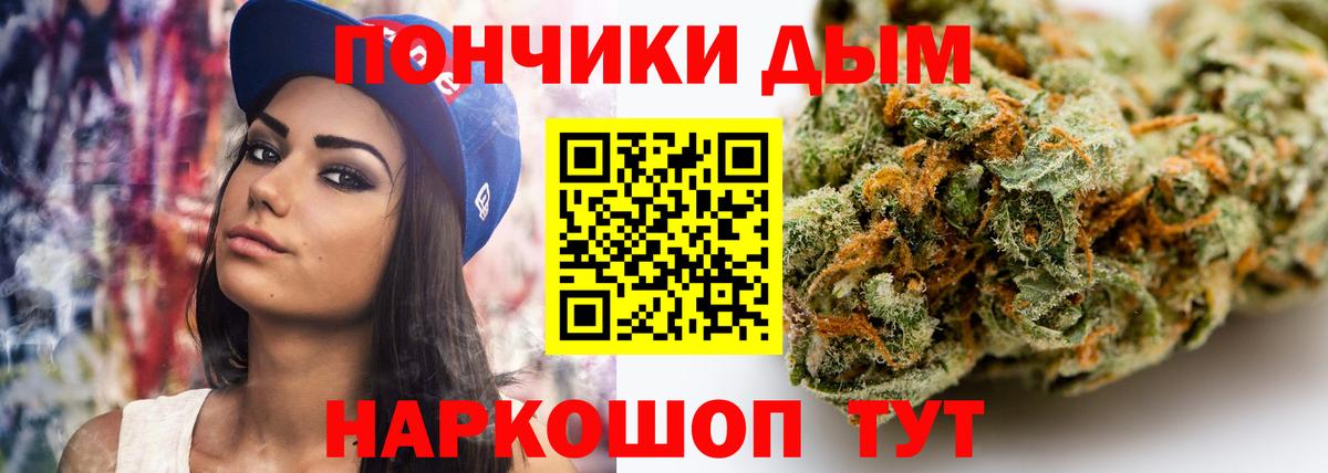 Конопля индика Новодвинск